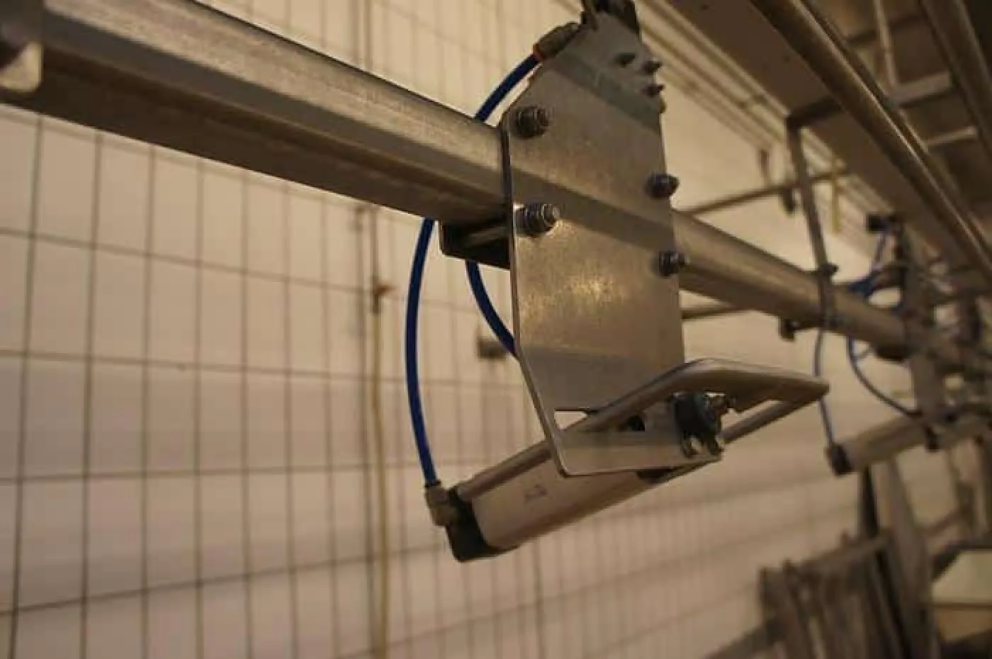 Grading line, Linco - 2