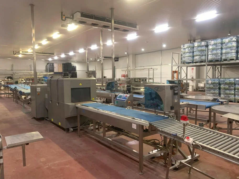 2015 ULMA LINEA DI CONFEZIONAMENTO ORTOFRUTTA