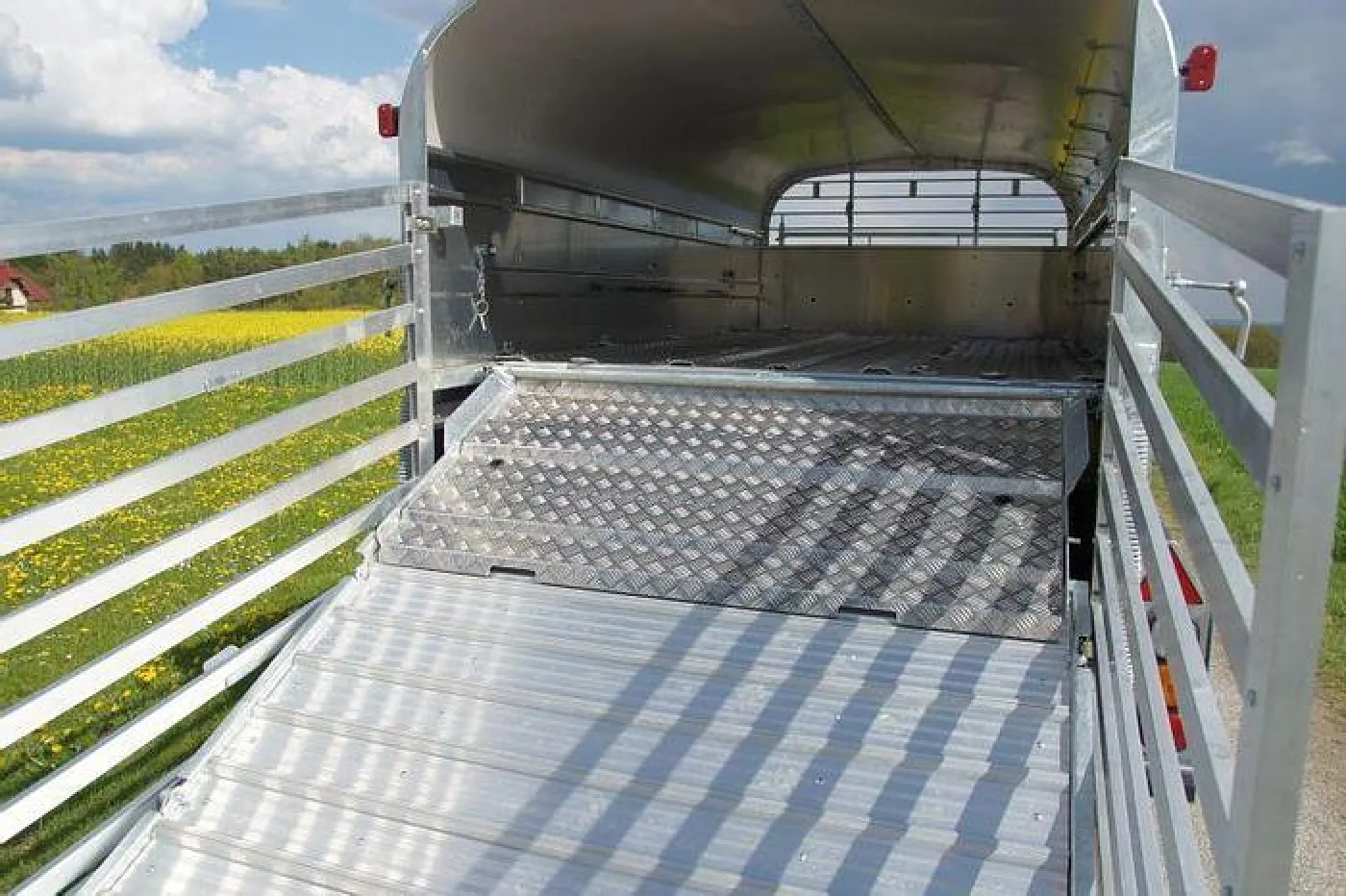 NUGENT LS3618H Schafdeck - im Zulauf - 2