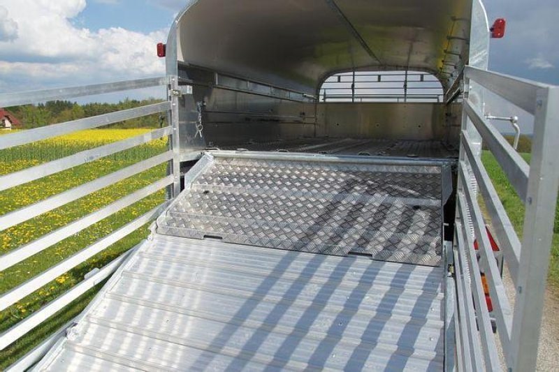 NUGENT LS3618H Schafdeck - im Zulauf