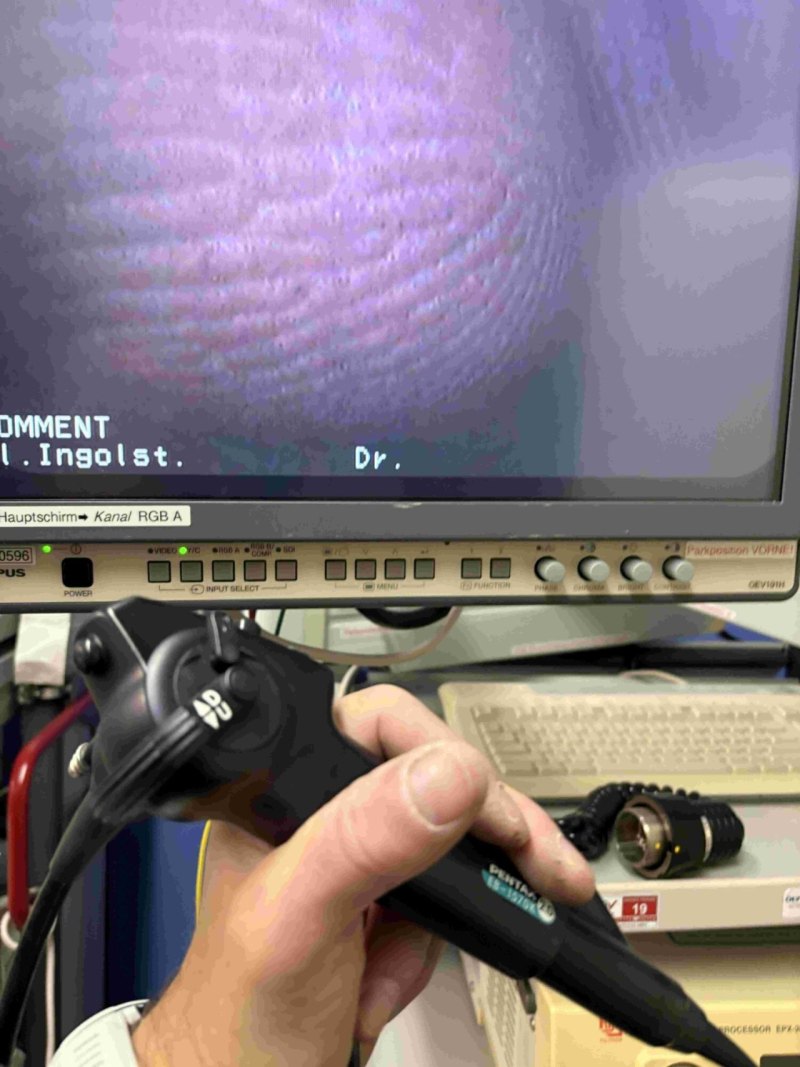 EB-1570K (Gebraucht, sehr gut)