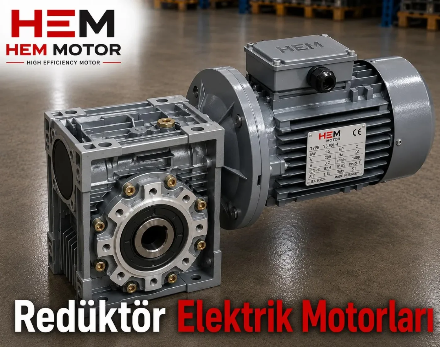 HEM130 Worm Gear Reducer - 1