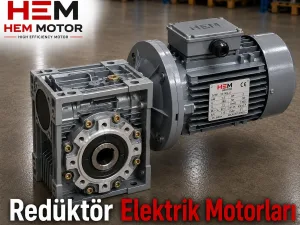 HEM130 Worm Gear Reducer