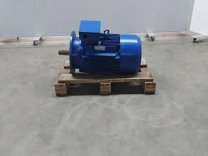 Elektric motor
