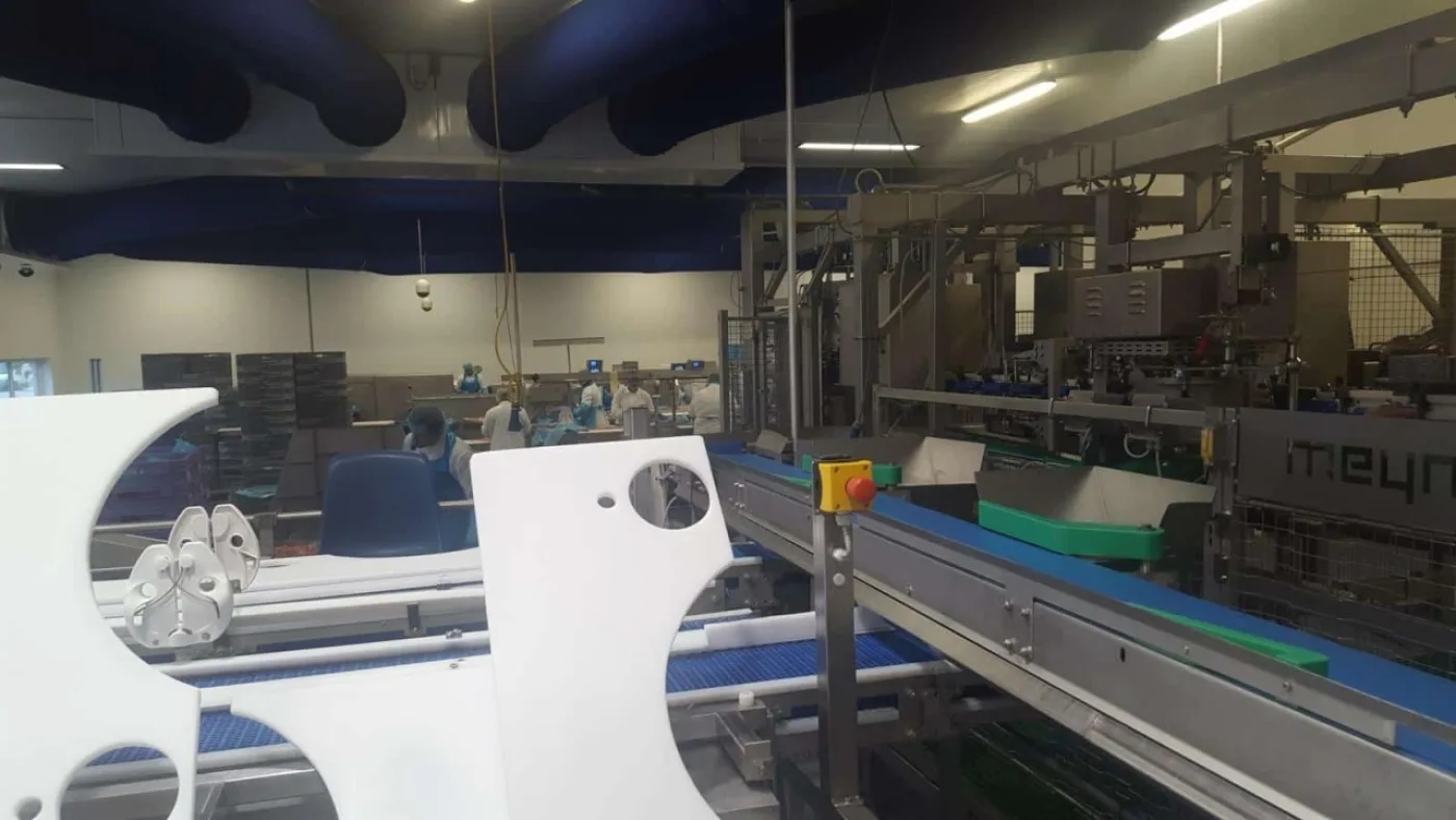 Breast Cap Filleting machine, Meyn, Rapid - 4