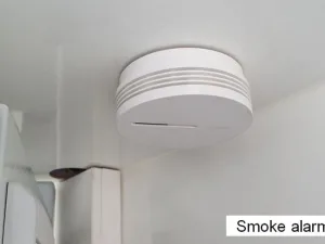 Smoke Alarm