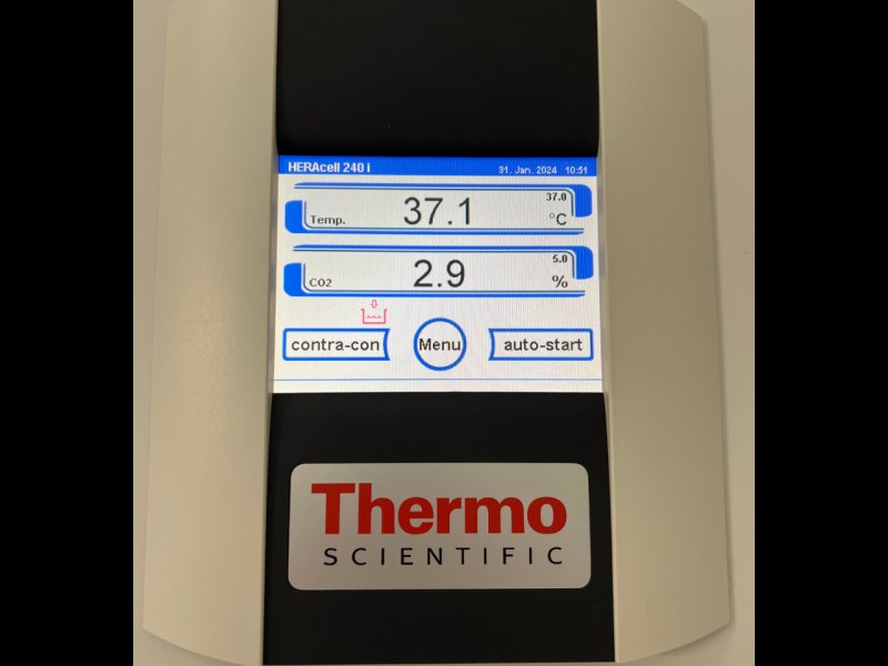 Thermo Scientific HERAcell 240i CO2 Incubator