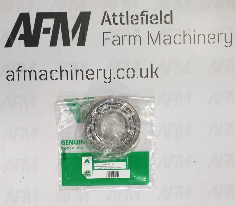 Spearhead Roller Bearing – 00755615