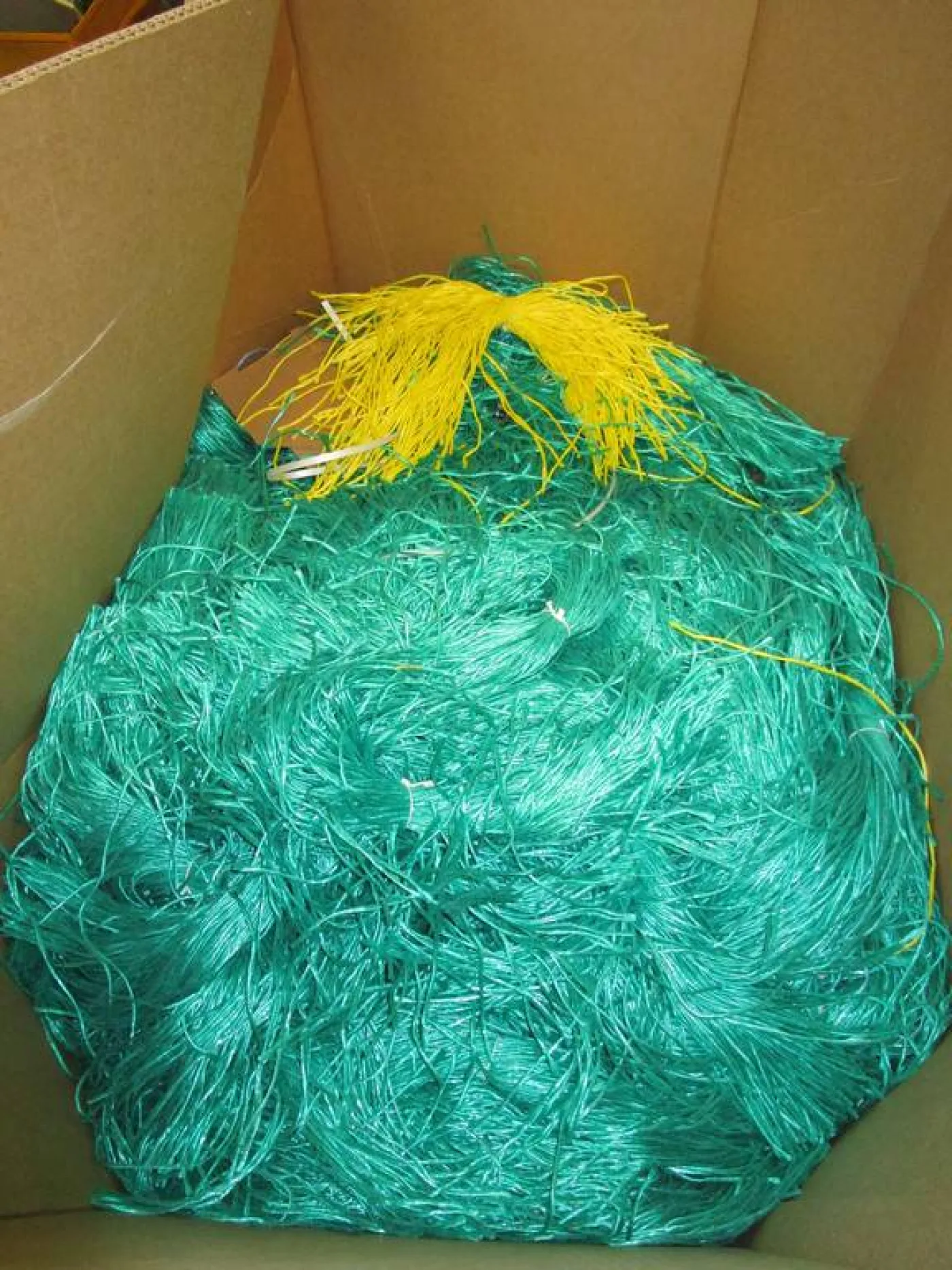Binding ropes - 3