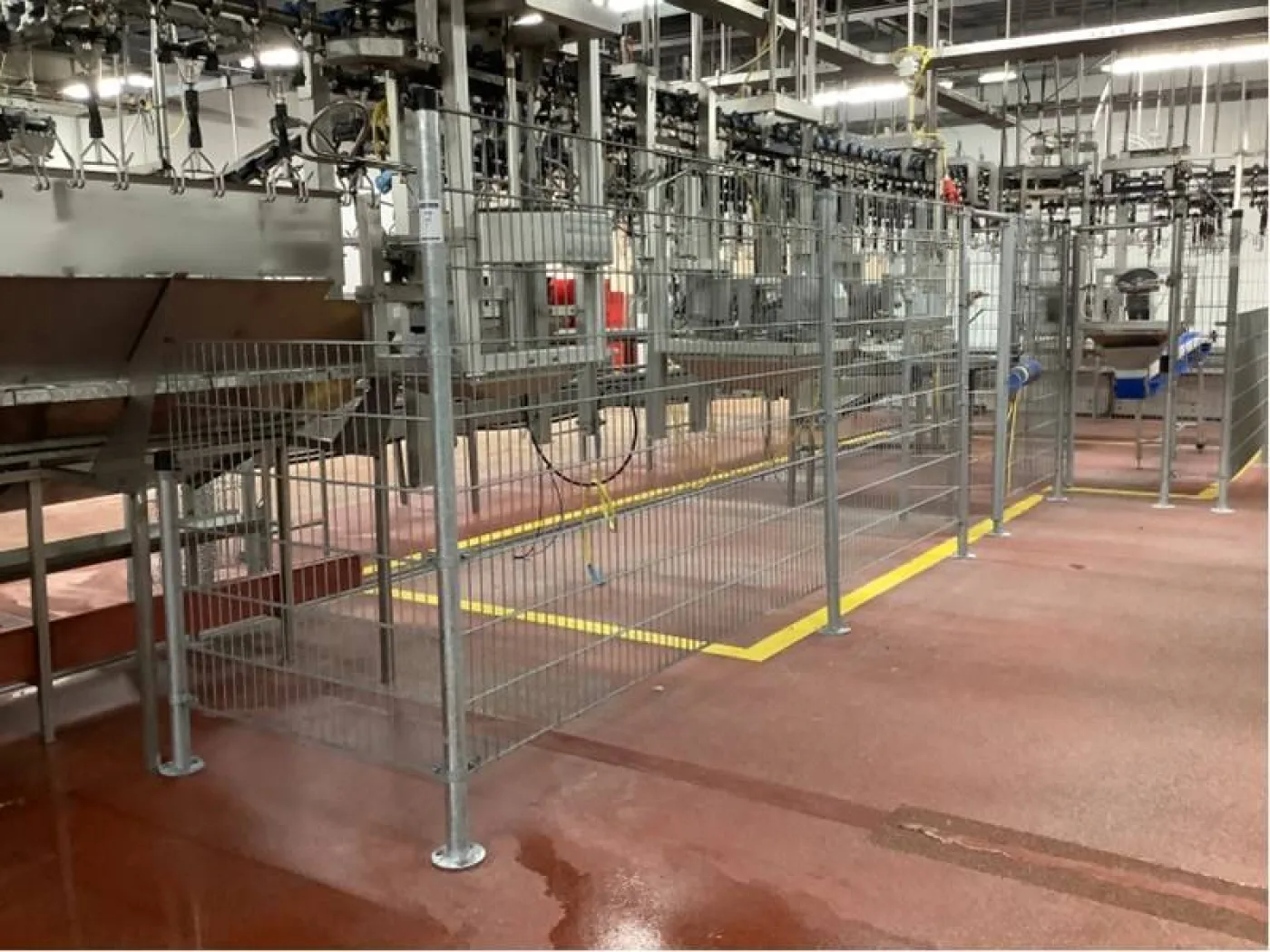 Poultry cut-up line - 2