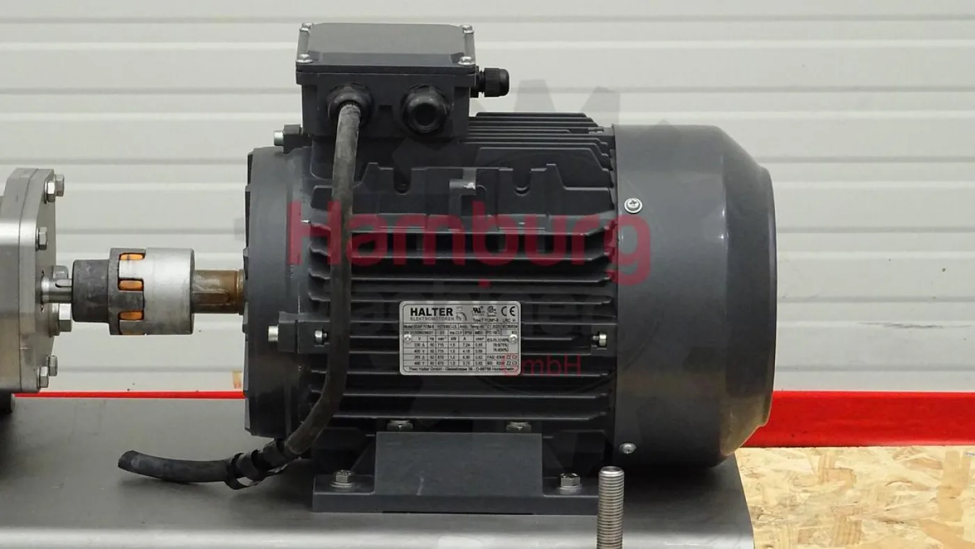 Twin/Double screw pump - Fristam FDS 1-4 - 7