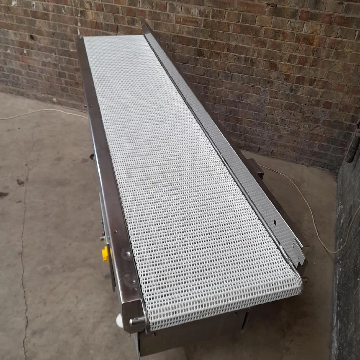 Cryovac Straight Conveyor - 7