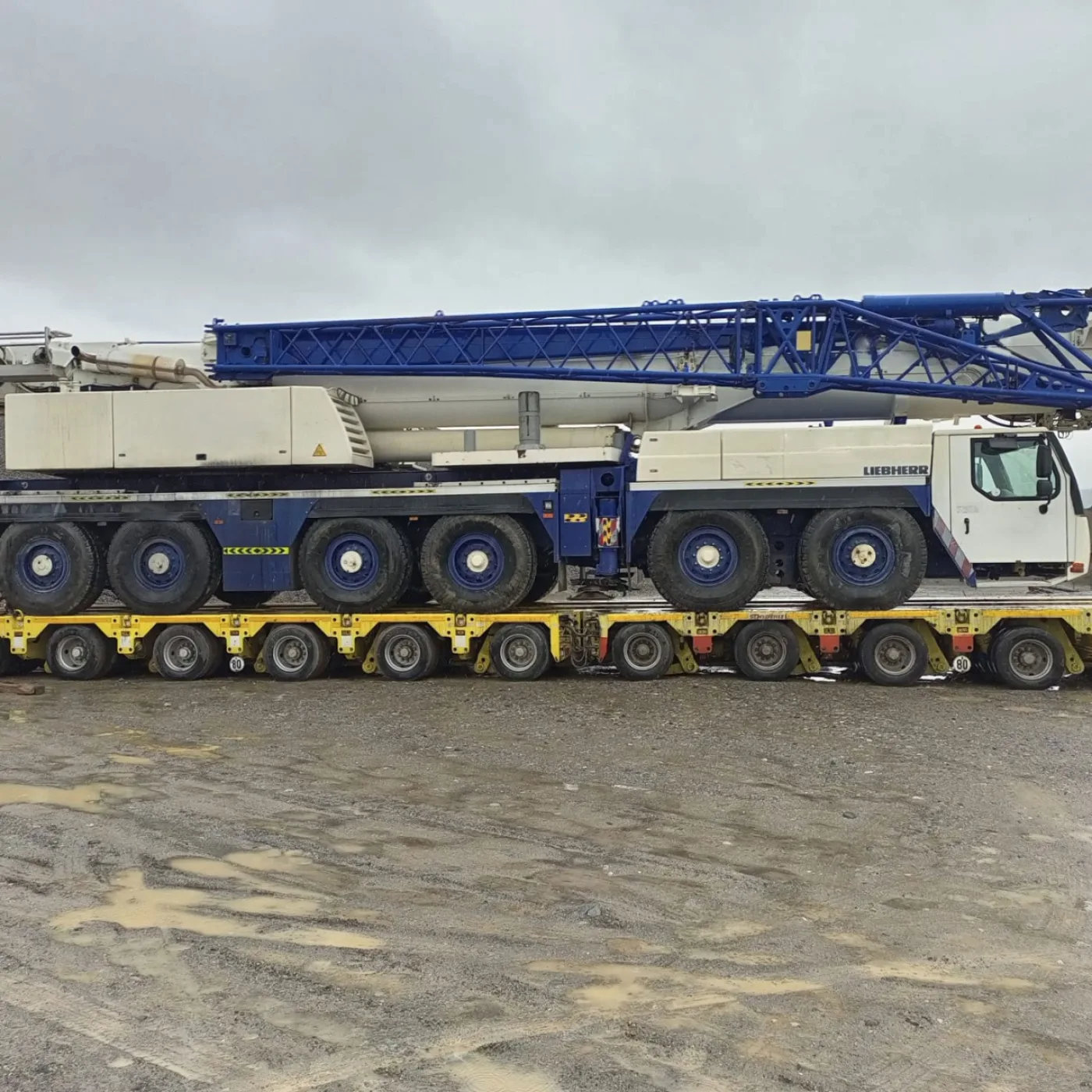 Manitowoc 4000 Vicon Crawler Crane - 8