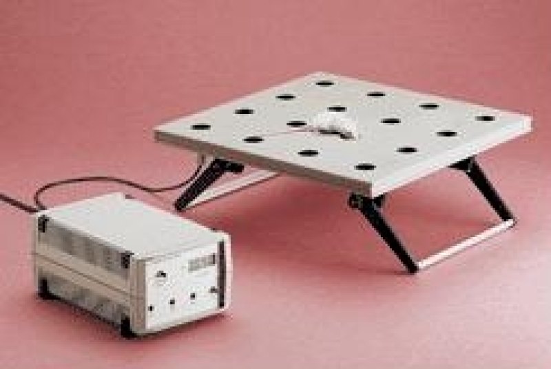 PIASTRA A BUCHI – UGO BASILE – CAT. 6650