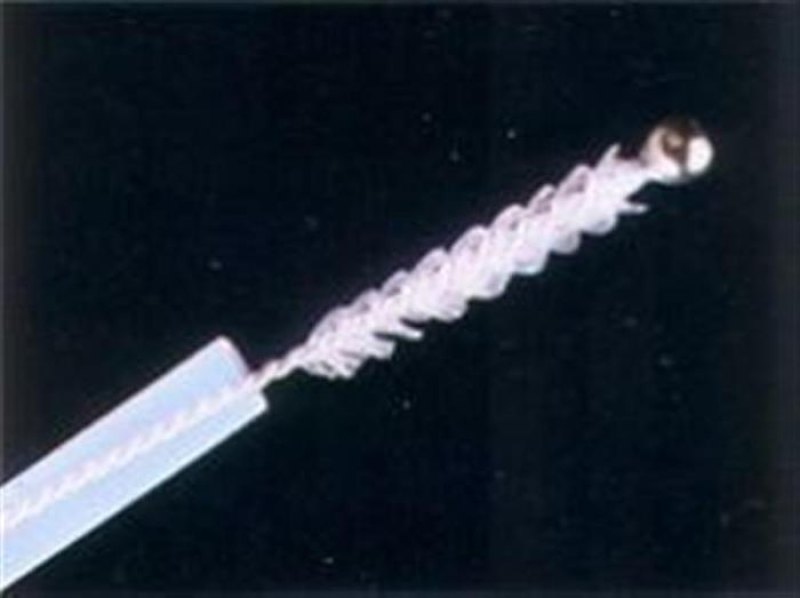 disposable cytology brush