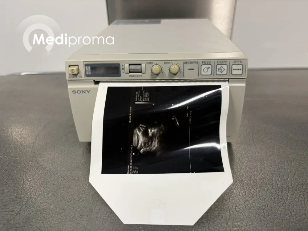 Sony UP-D897 Printer