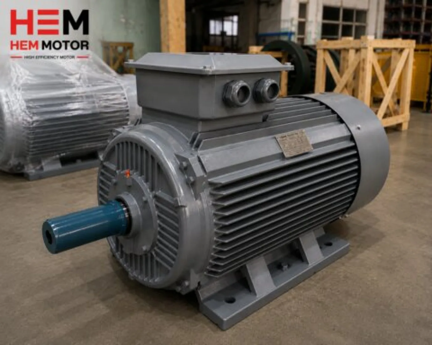 Mining Sector Electric Motor - 3