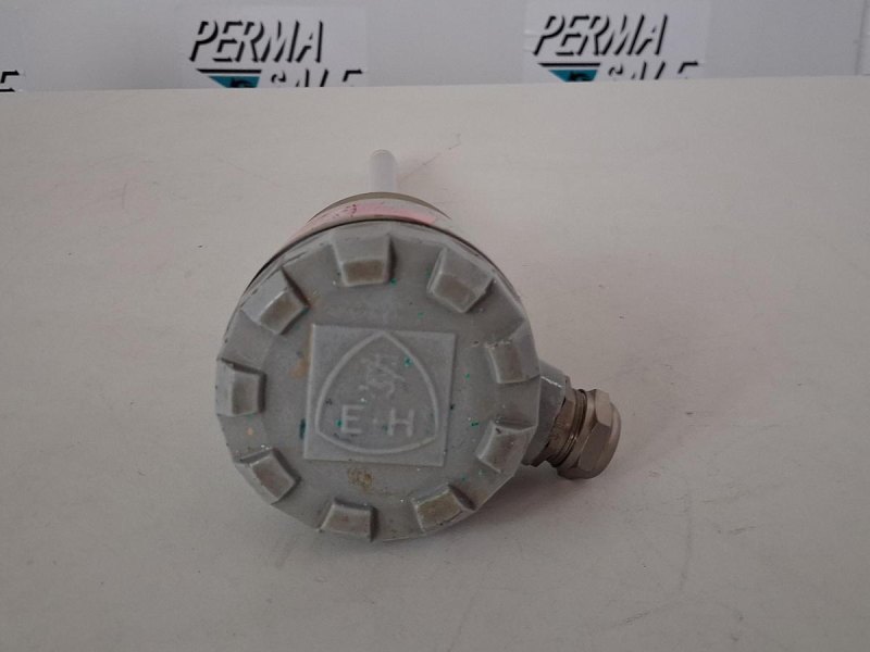 Endress+Hauser PTFE 250 mm Niveausonde