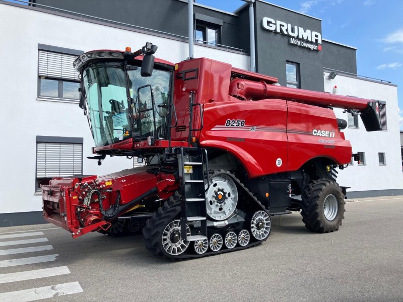 Mähdrescher Case-IH Axial-Flow 8250 ST5 P