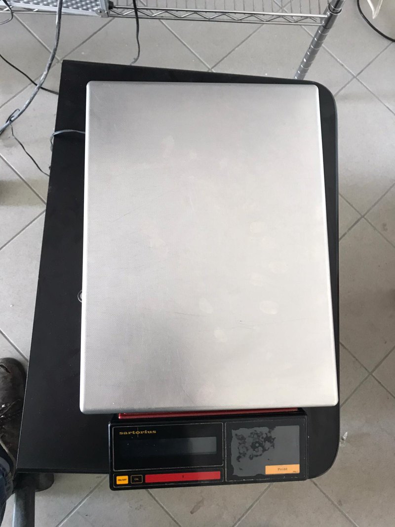 BILANCIA DA BANCO – SARTORIUS – MOD. L610
