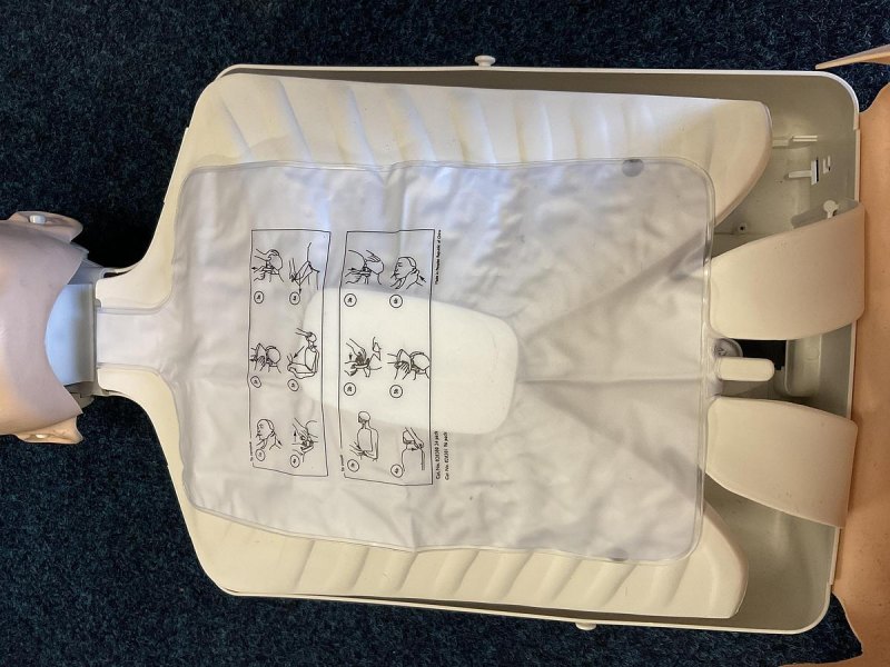 Laerdal Little Anne
