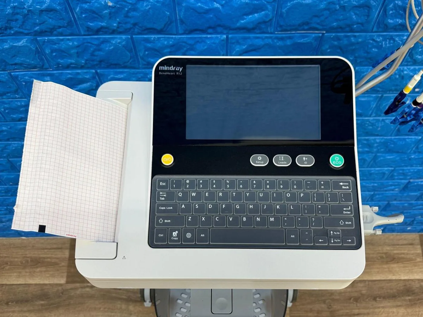 Mindray Electrocardiograph ECG Model: BeneHeart R12 YOM: 2022 - 2