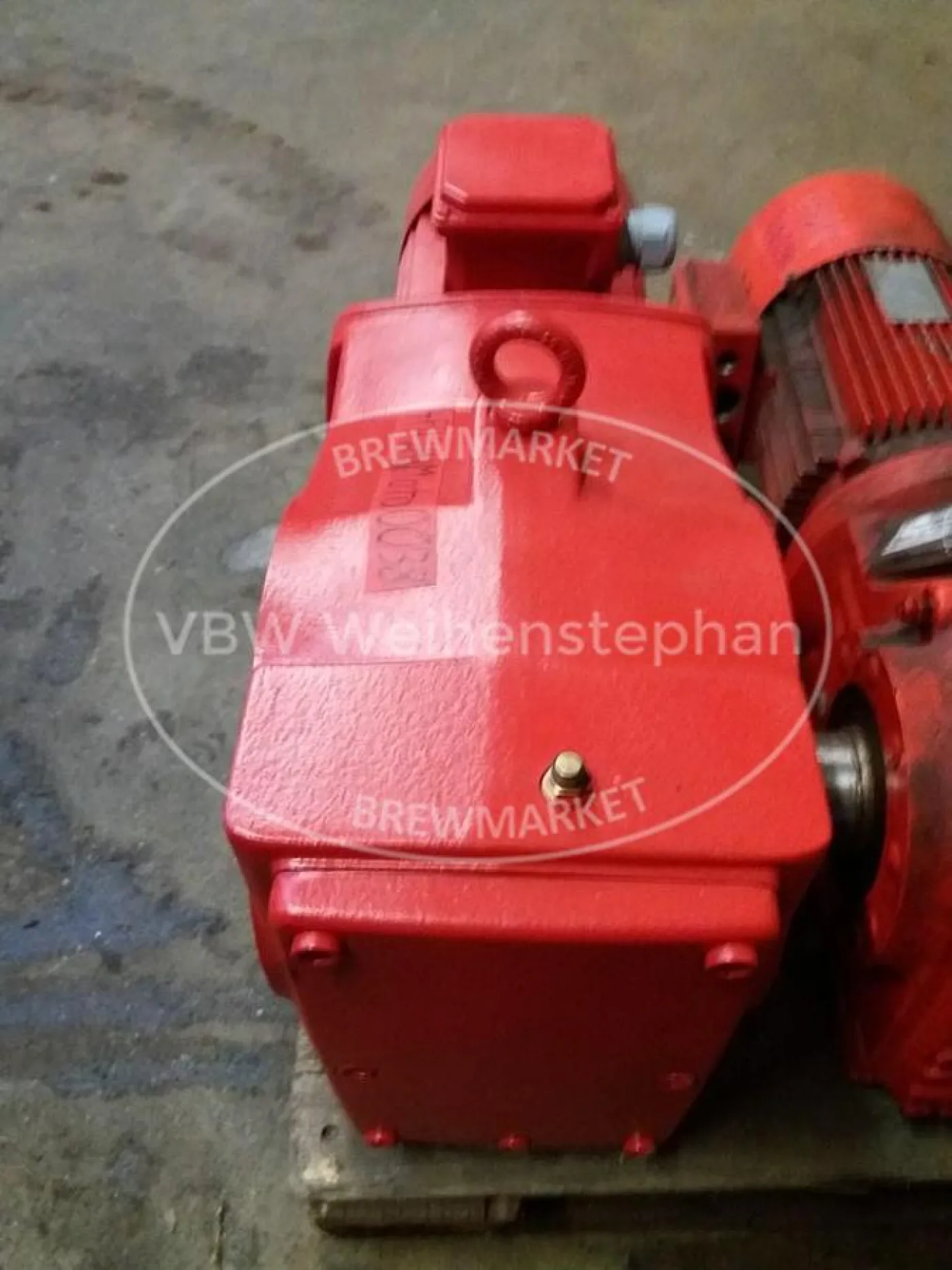 Motor with bevel gear - 6