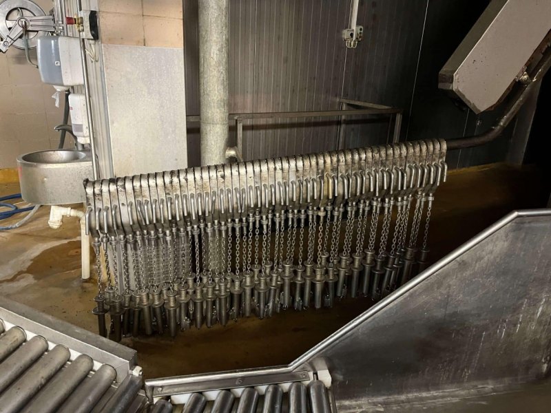 Pig slaughter line, GMN Techmet, 90 pph