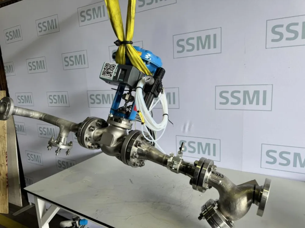 2024 ARCA / Siemens Pneumatic control valve with positioner