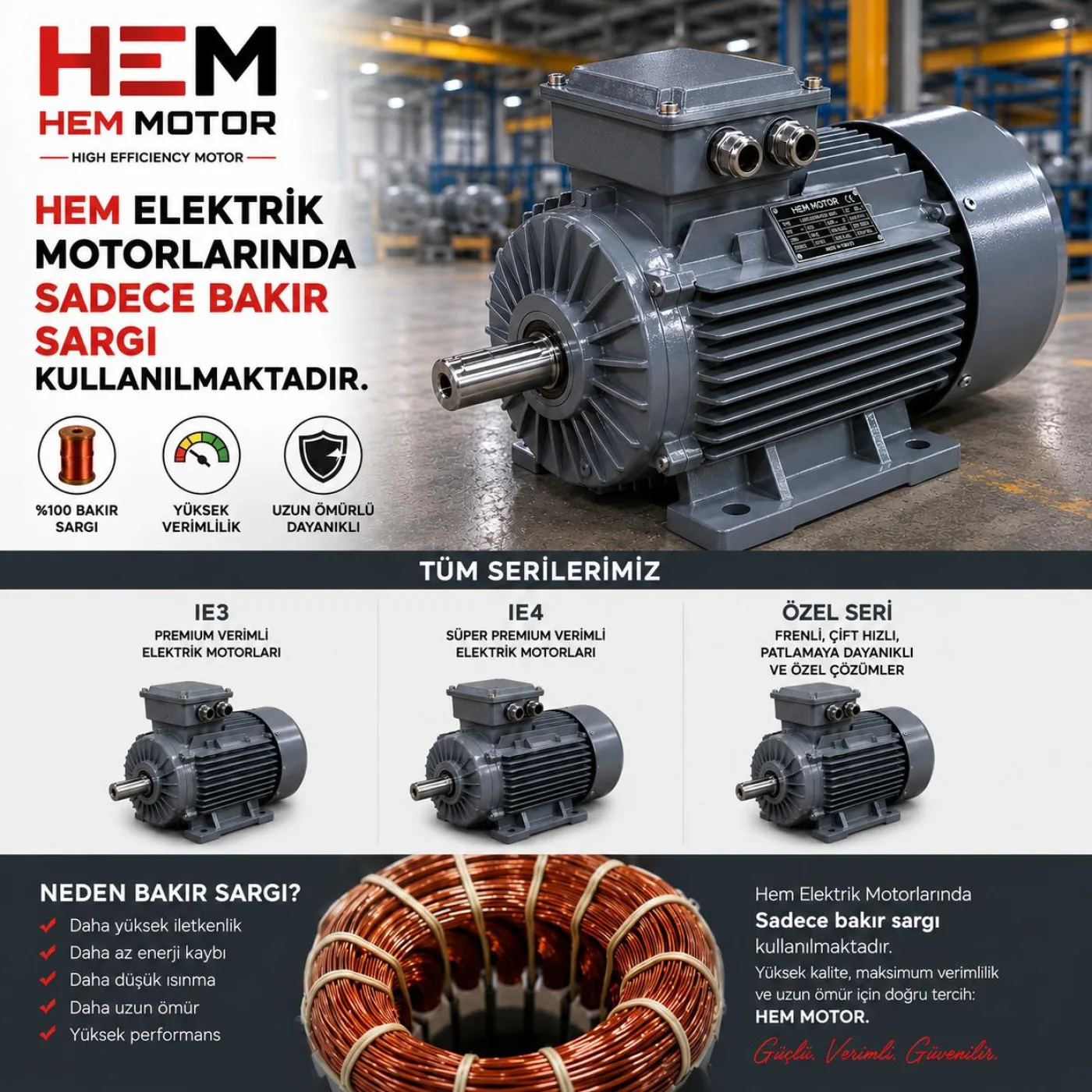 IE4 High Efficiency Electric Motors - 5