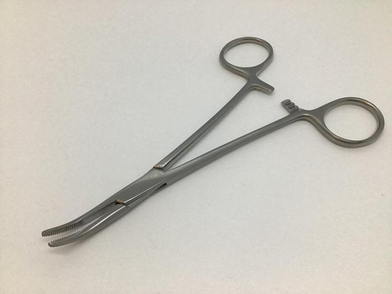 Cairns Forcep Curved 140mm
