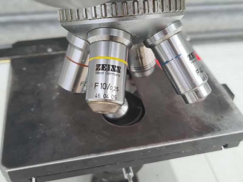 Zeiss Standard 15 Microscope