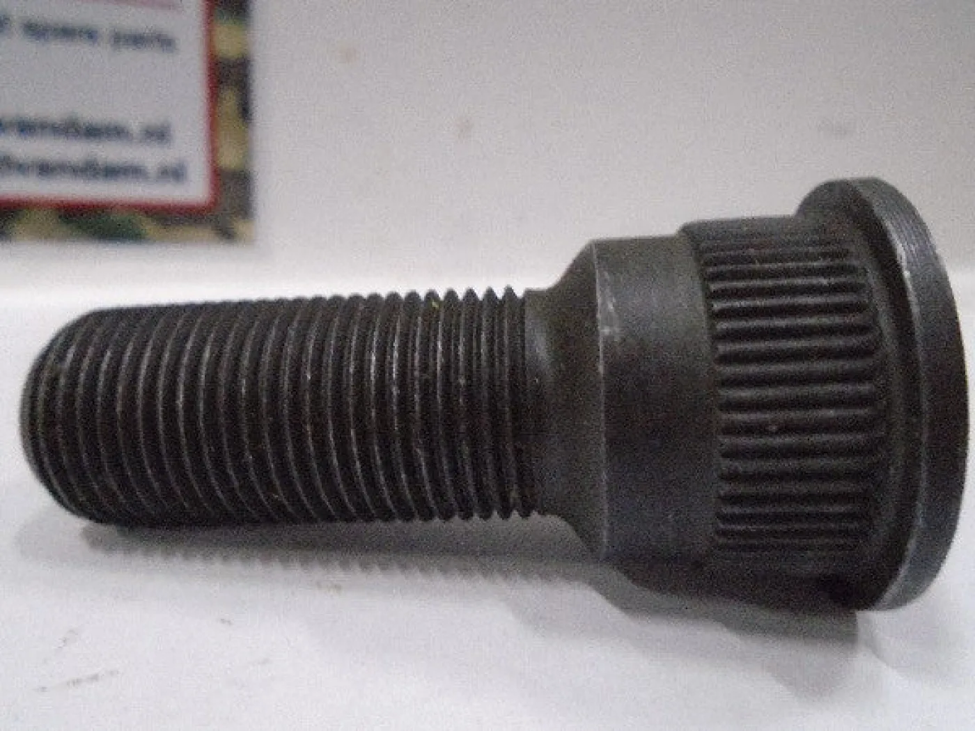 Wielbout - 3