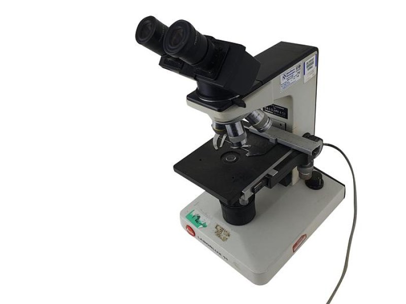 Ernst Leitz Wetzlar Laborlux 11 Microscope Microscope